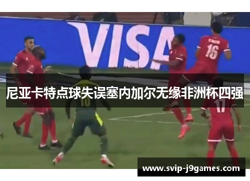 尼亚卡特点球失误塞内加尔无缘非洲杯四强