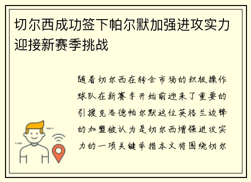 切尔西成功签下帕尔默加强进攻实力迎接新赛季挑战